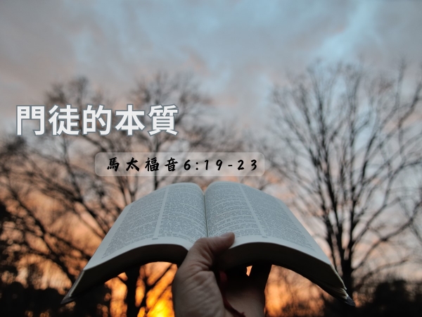 𝐍𝐎𝟓𝟎-門徒的本質