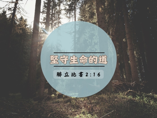 𝐍𝐎𝟏𝟏-堅守生命的道