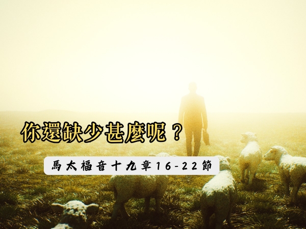 𝐍𝐎𝟏𝟑-你還缺少甚麼呢？