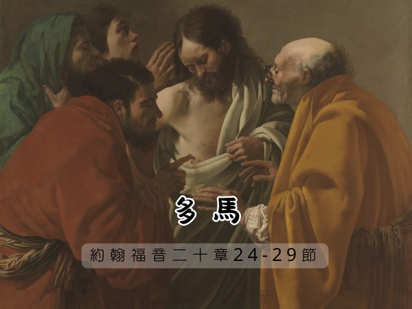 𝐍𝐎𝟏𝟒-多  馬