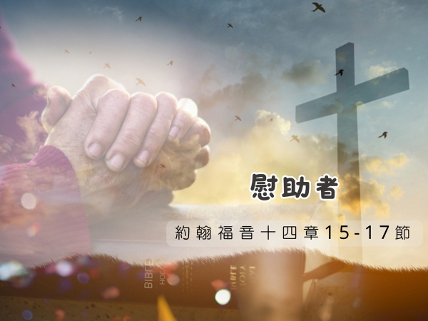 𝐍𝐎𝟐𝟏-慰助者